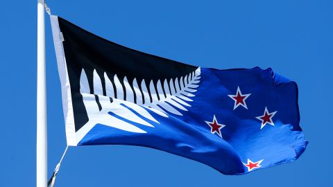 The Silver Fern (black, white and blue) will go up against the existing New Zealand in a vote in March 2016. 