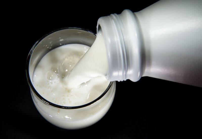 When it comes to milk you should go full-fat, especially with kids