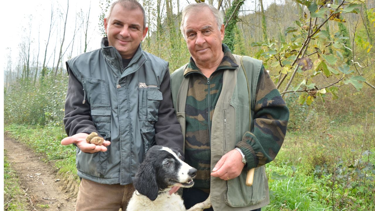 Truffle hunting is a set of skills and knowledge passed down from generation to generation -- dogs as well as human. Massimo Cucchiara (left) and his father Salvatore run truffle hunting trips. Pepe is a hardy mongrel mix of springer spaniel, Segugio Italiano and setter. 