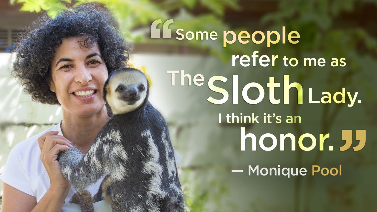 Monique Pool and her group have rescued, rehabilitated and released more than 600 sloths and other animals back to the rainforest in Suriname.