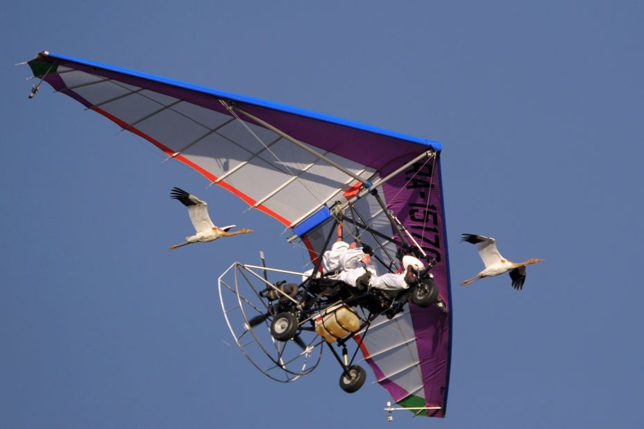 Here he is pictured piloting a motorized hang glider while flying with cranes that have taken to the machine as their leader.