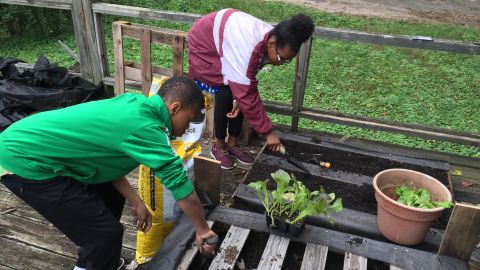 WeCycle participants plant a pallet garden