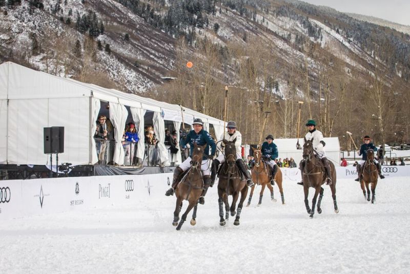 Snow polo The new horse in town CNN