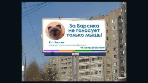 A photoshopped image by Altai Online of the cat on a billboard in Barnual