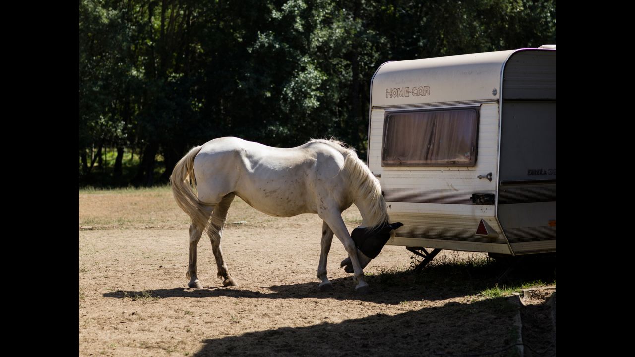 A horse rests in the shadow of a caravan in Bacal, Portugal.