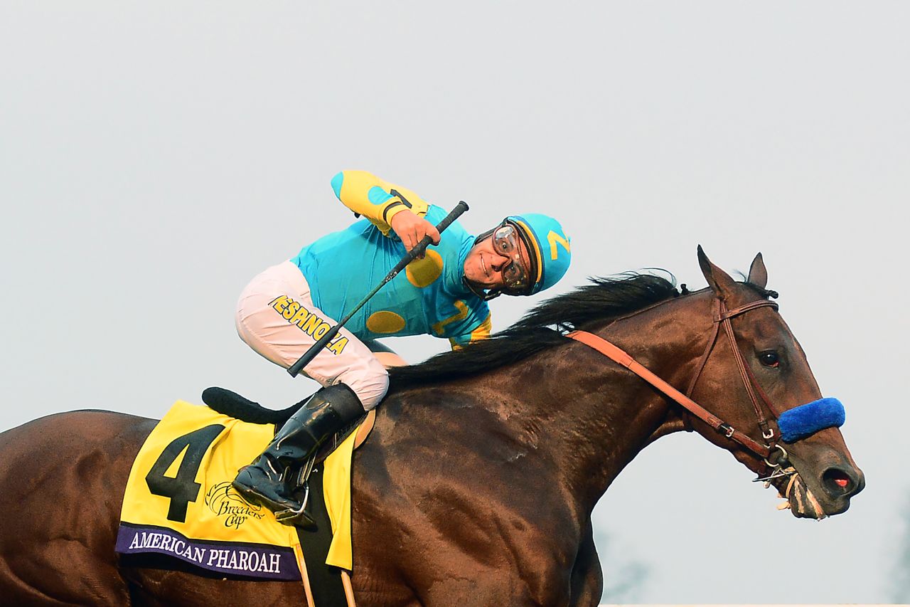 American Pharoah became the first horse in 37 years to complete the Triple Crown, winning the  Kentucky Derby, Preakness Stakes and Belmont Stakes before bowing out in style by clinching the Breeders' Cup crown. In a poll run by SI on who should win Sportsperson of the Year, the colt attracted 47% of the vote to Williams' 1%.