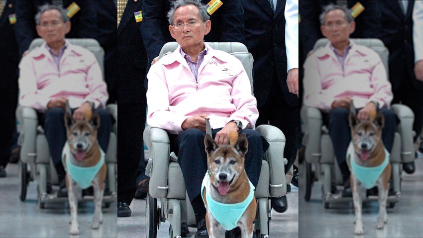 (FILES) In this file photo taken late on February, 27, 2010, Thai King Bhumibol Adulyadej holds the leash of his dog while sitting in a wheelchair at a hospital in Bangkok. A Thai faces prison after being charged with lese majeste for insulting the king's dog, his lawyer said on December 15, 2015, in an escalation of the already draconian royal defamation law. Thanakorn Siripaiboon, 27, has been charged by police with lese majeste for a "satirical" Facebook post about the king and his dog, lawyer Pawinee Chumsri told AFP. AFP PHOTO / FILESAFP/AFP/Getty Images