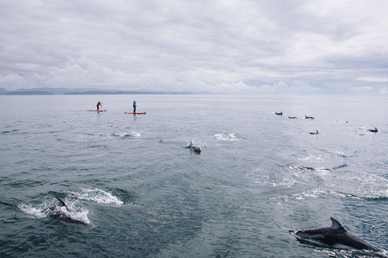 Nimmo Bay is located in a secluded Pacific Coast inlet, giving guests solitude along with unique access to unbelievable wildlife spotting.