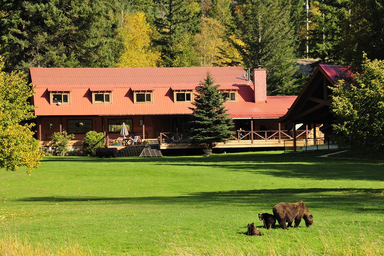 "One of the advantages we have is that guests don't need to travel away from the lodge to go bear viewing," says Tim Wilkinson of Tweedsmuir Park Lodge. In addition to its bear-friendly meadow, there's a safe viewing platform above the Atnarko River just a minute's walk from the lodge.