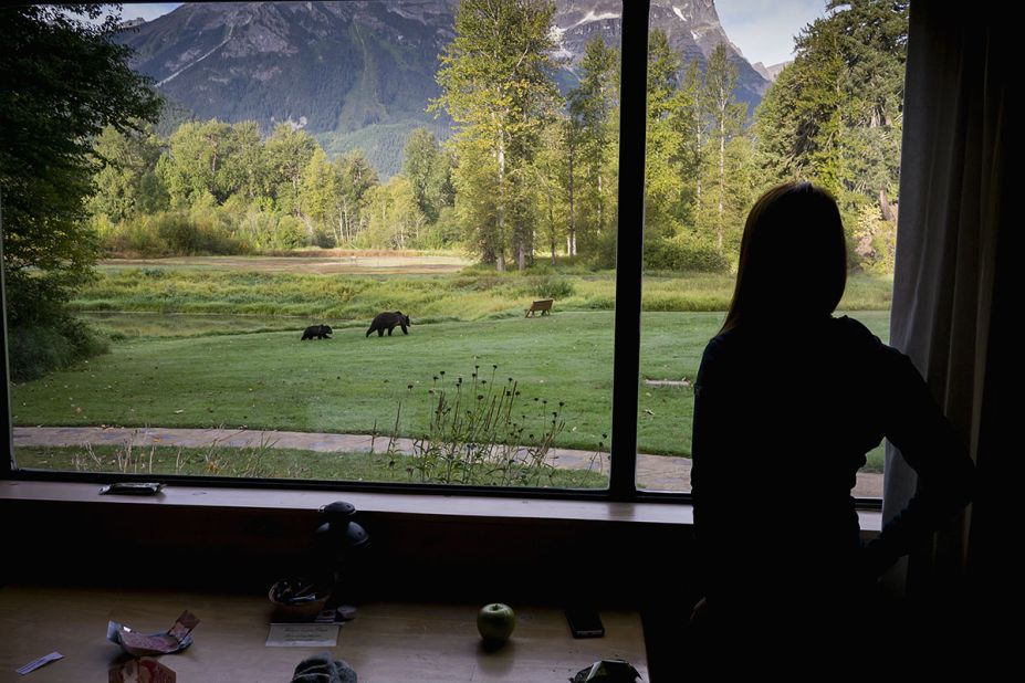 This is about as easy as bear viewing gets. Even when the bears aren't around, the views of the mountains surrounding the lodge are magnificent. 