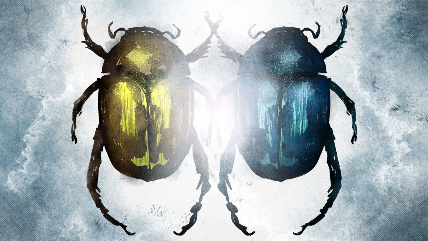 The other side synchronicity illustration