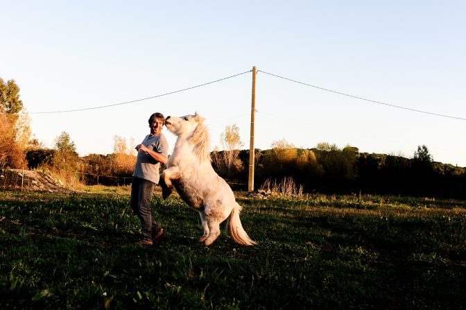 He currently has around 20 horses, including this miniature Shetland pony. <br />