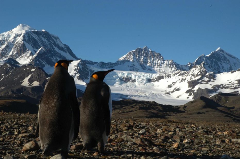 Located in the south Atlantic, South Georgia Island is a stopover on many Antarctica expeditions. Its tundra is filled with colonies of thousands of noisy king penguins.