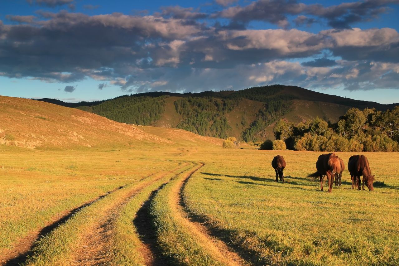 "Mongolia is yet to hit mainstream," says Tom Bodkin, CEO of travel company Secret Compass. "Travel feels authentic, gritty and real for true isolation." 