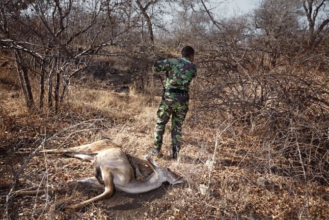 When members discover animal casualties, they report back to a central control room.