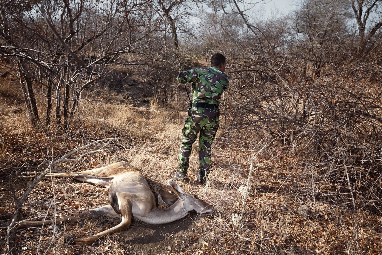 When members discover animal casualties, they report back to a central control room.