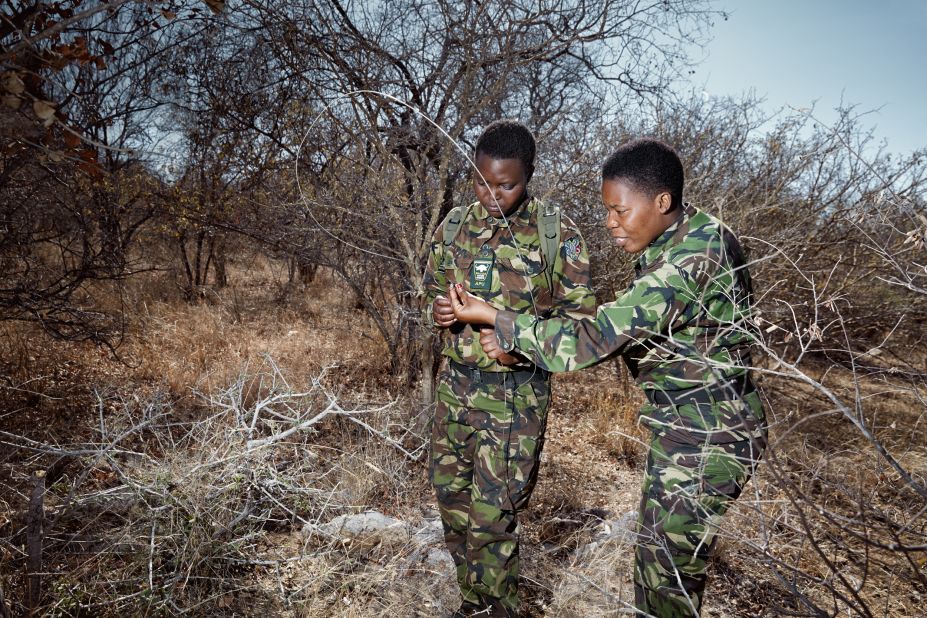 Can A Black Mamba Kill A Lion The Black Mambas: Savior to rhinos, scourge to poachers | CNN