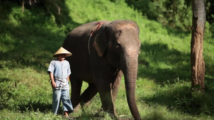 four seasons tent camp thailand travel orig_00000224