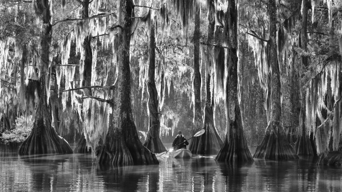 Another image by overall winner Marsel van Oosten shows giant cypress tress on a bayou in Lousiana's Atchafalaya Basin on a misty morning. The area is the largest wetland in the United States. (Photo: Marsel van Oosten/www.tpoty.com)