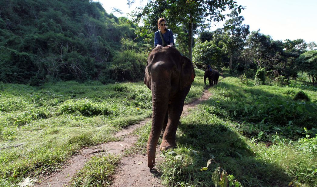 The Four Seasons Golden Triangle Tented Camp's "mahout" experience gives guests a rare chance to spend one-on-one time with rescued elephants.  