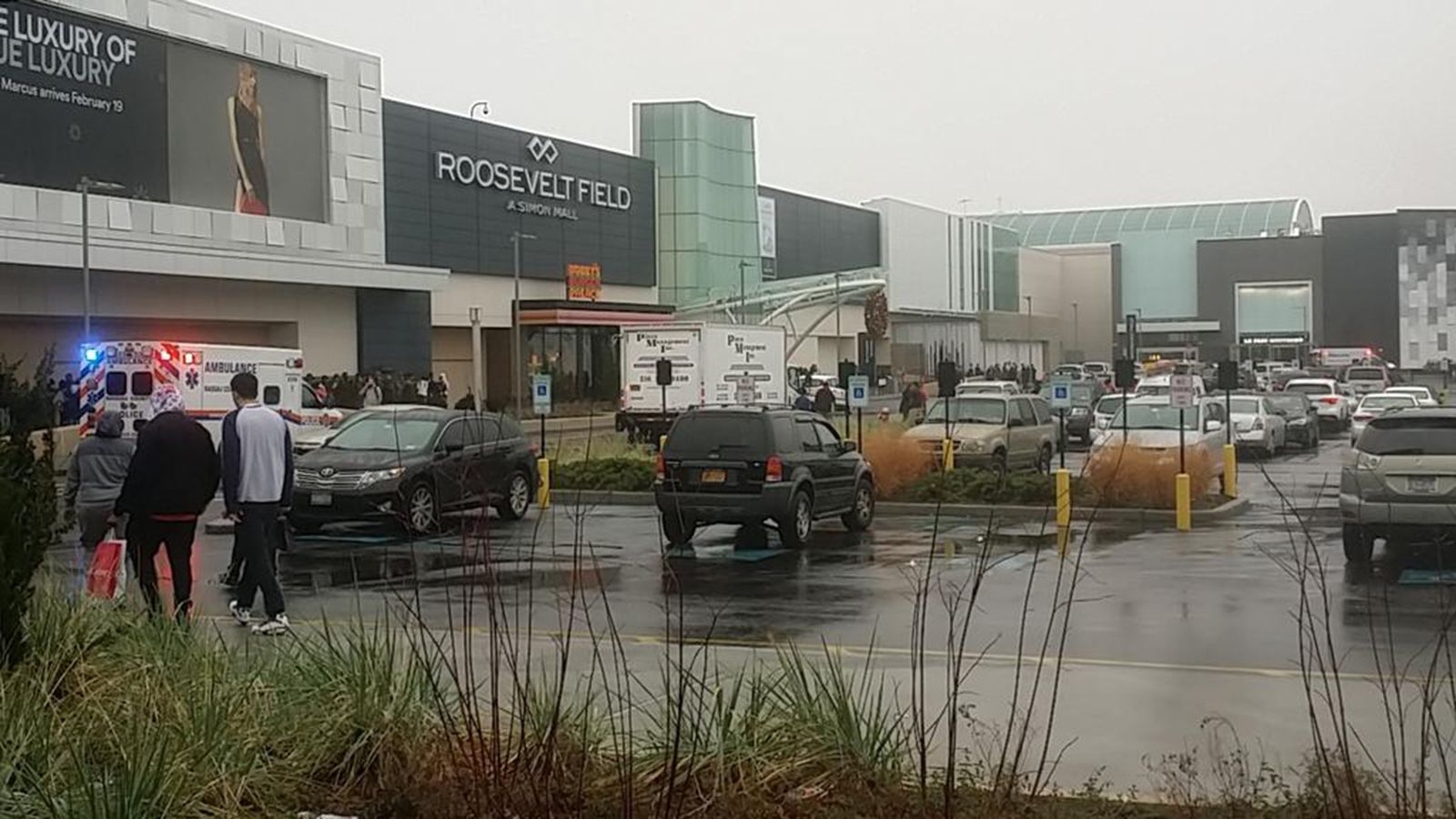 Recent incidents at Roosevelt Field Mall spark safety concerns 