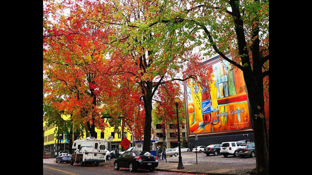 Portland is beloved for its trees, art and fine craft brew. This scene of a mural advertising Blue Moon (not a local beer) shows an intersection of all three. Photo by CNN's Chuck Thompson. More on CNN: <a href="http://edition.cnn.com/2014/11/19/travel/portland-best-beer-city/">23 reasons Portland is still the world's best beer city</a>