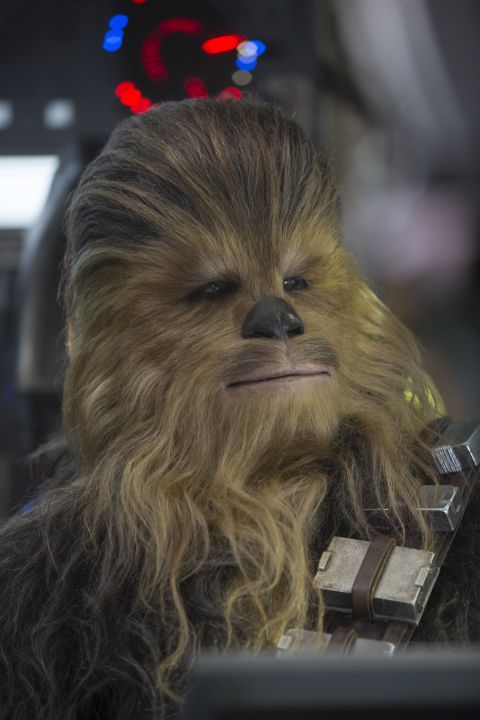 <strong>Chewbacca</strong> (Peter Mayhew) returns, fresh from his last appearance in "Episode III: Return of the Sith." The 7-foot-2 actor's career has almost exclusively been spent playing the loveable Wookiee. He even appeared in "Glee" in the outfit in 2011.