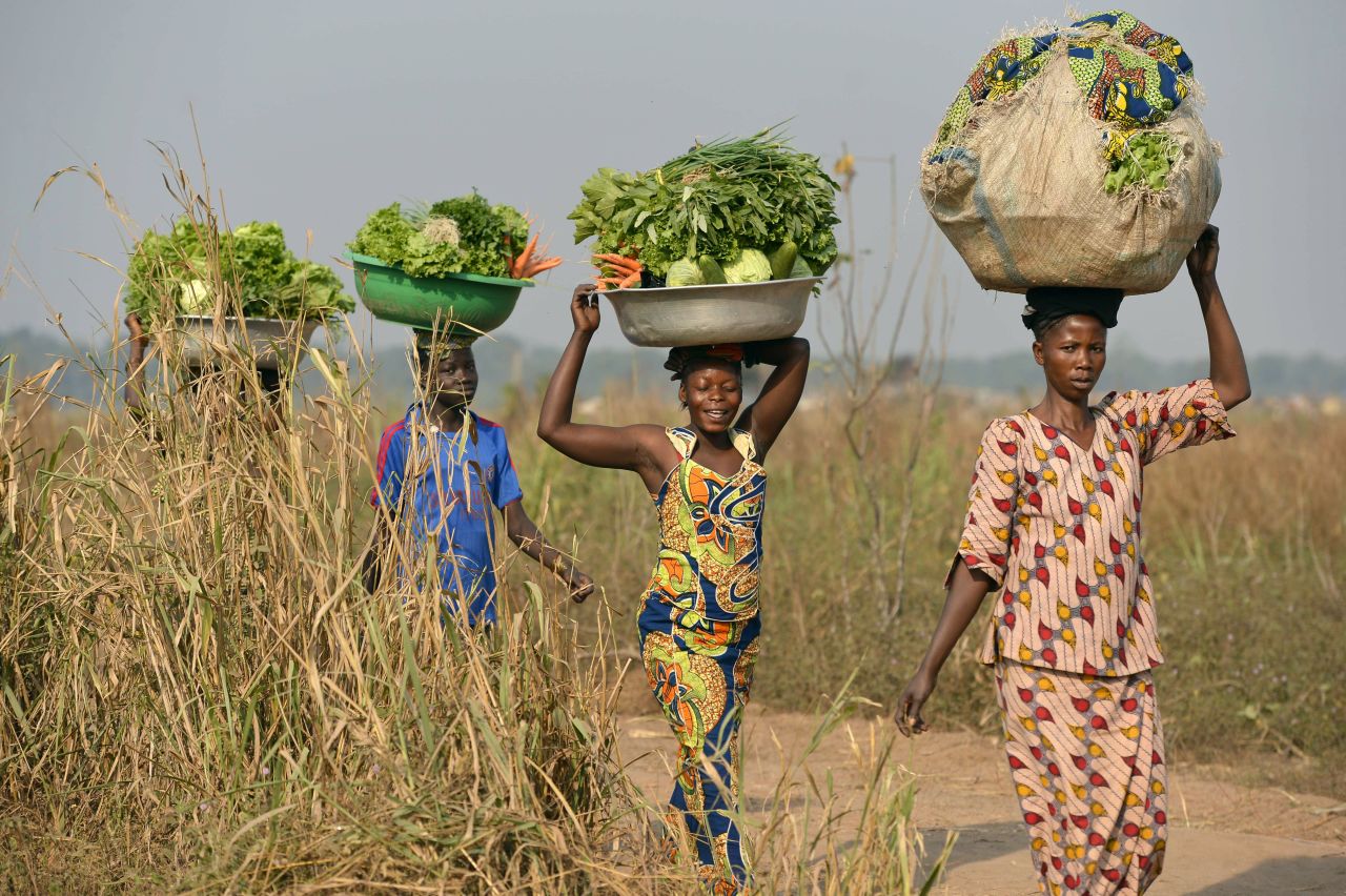 Farming and agriculture represent a concern for 17% of Africans, with Liberia (39%) and Senegal (37%) leading the chart.