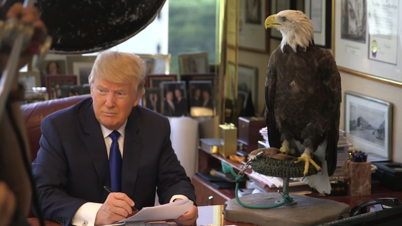Trump was in the running for Time magazine's Person of the Year and was not pleased when German Chancellor Angela Merkel was selected instead. Alongside a profile on Trump, the publication published a behind-the-scenes video of a photo shoot from August. The video featured blooper-reel moments with Trump's co-star of the shoot, a bald eagle named Uncle Sam. The eagle ruffles its feathers, startling Trump.