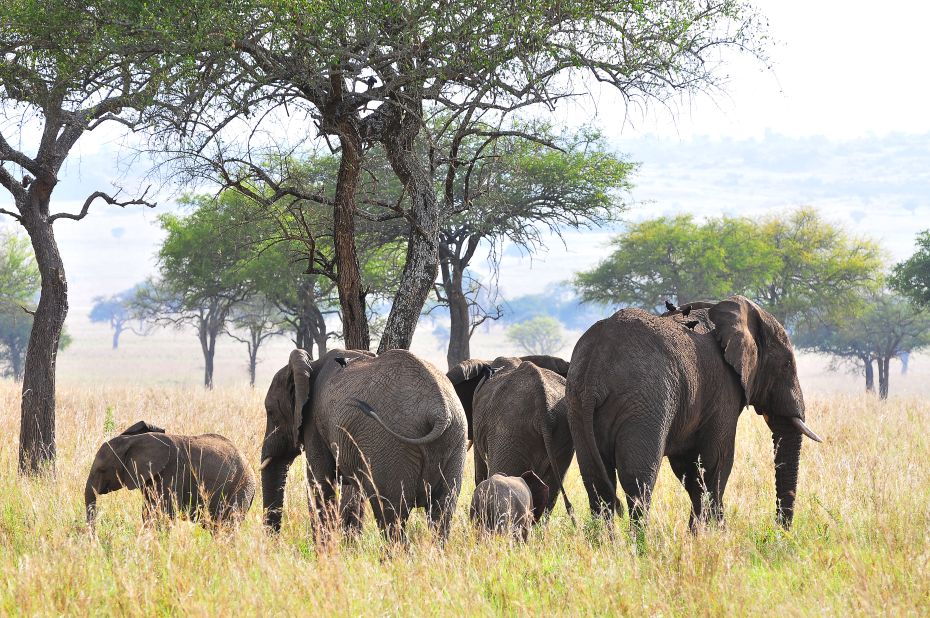 Kidepo National Park, in Northern Uganda, is rich with natural resources, thriving wildlife and growing tourist appeal.