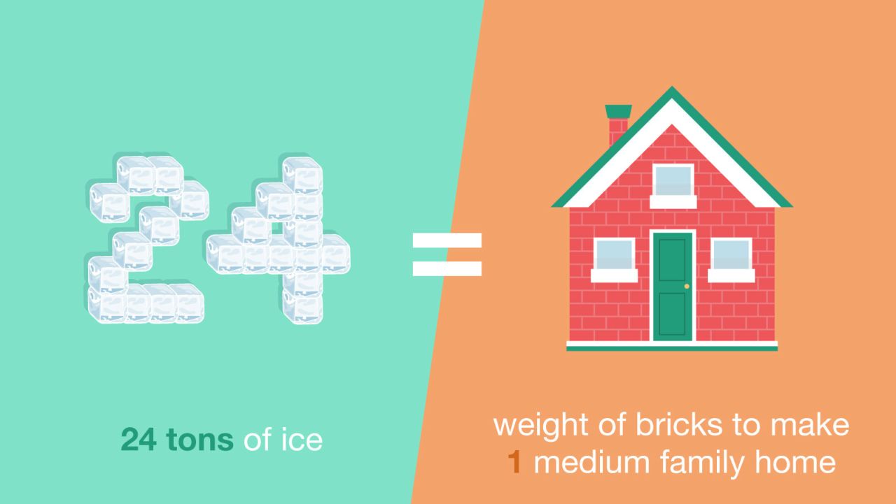 Chicken-or-Fish_ice