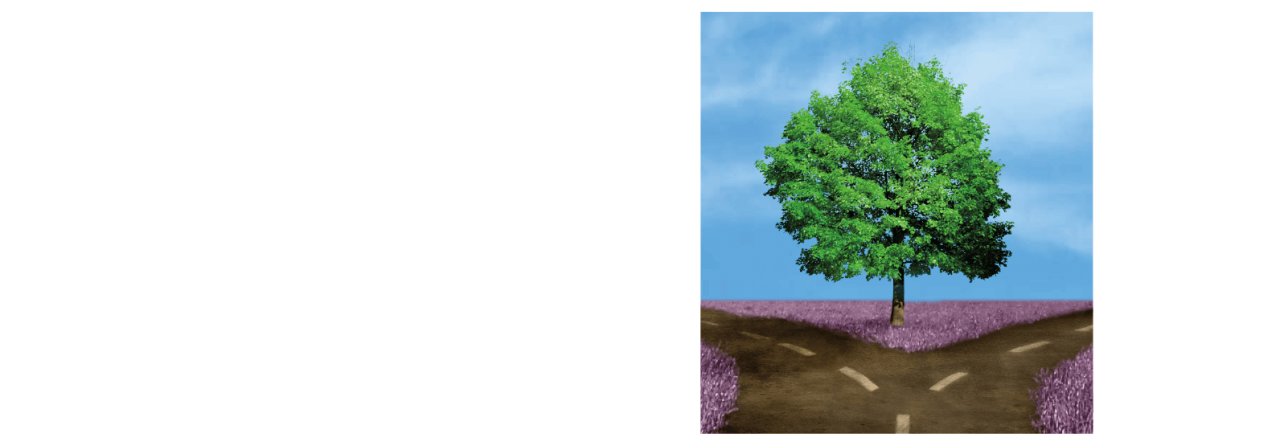 The Person Who Changed My Life