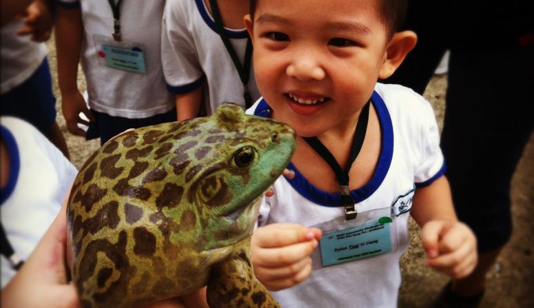 The Jurong Frog Farm mostly sells its slippery wares to Chinese restaurants in town.