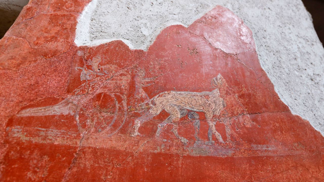A detail of graffiti inside the Fullonica di Stephan's in Pompeii.