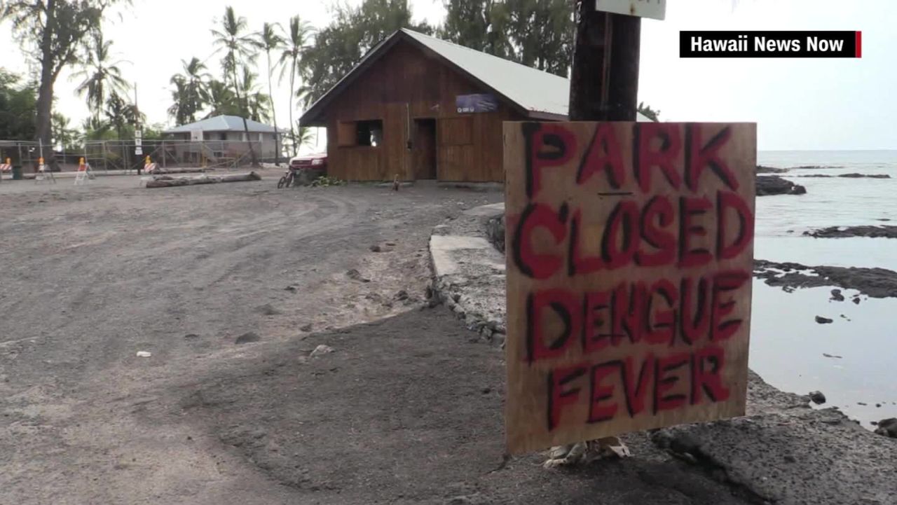 hawaii dengue fever big island outbreak pkg_00000515.jpg