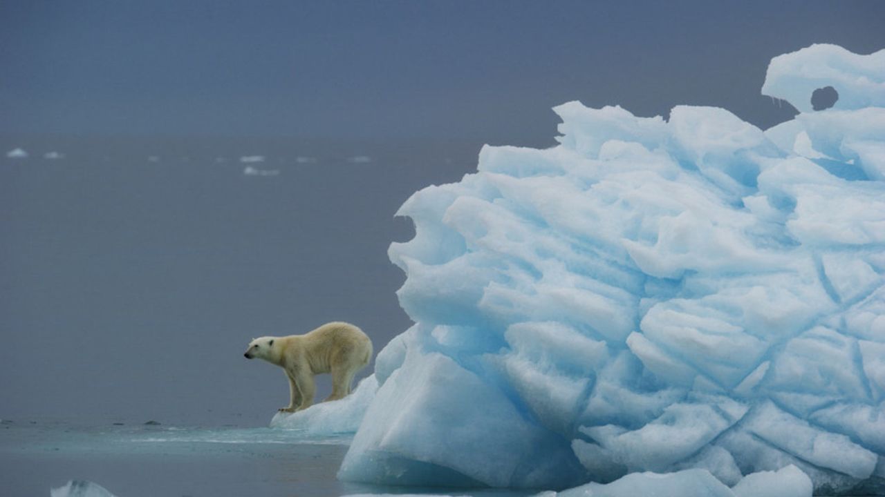 When polar bears outnumber humans, you know you're in for the experience of a lifetime. 