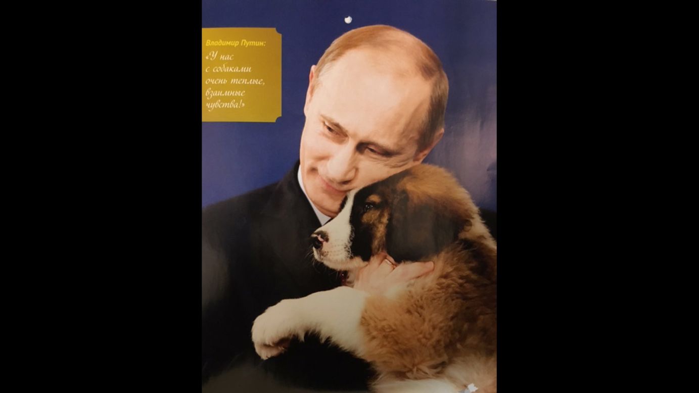 "Dogs and I have very warm feelings for one another."<br />