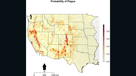 Plague predictions based on modeling from Michael Walsh and M.A. Haseeb, professors at SUNY Downstate. The dark red spots show where they predict the most infections will occur.