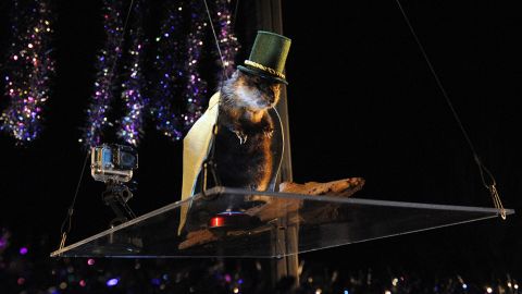 unique NYE muskrat