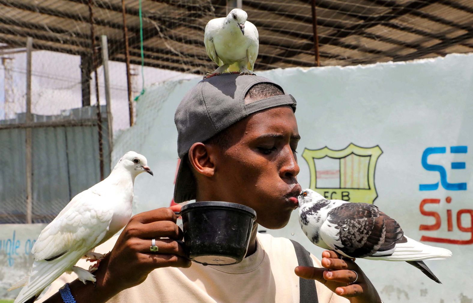 Zakaria Mohamed kisses one of the pigeons that he feeds in the Yaqshid district of Mogadishu, Somalia, on Wednesday, September 17.