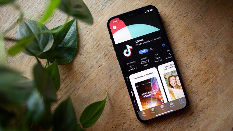 TikTok withdraws controversial ‘chubby’ filter