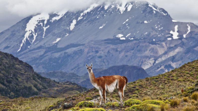 Among 2016 events that might change your travel plans is the possible granting of national park status to this<a href="http://www.conservacionpatagonica.org/home.htm" target="_blank" target="_blank"> spectacular wilderness</a> next to Chile's Argentine border. 