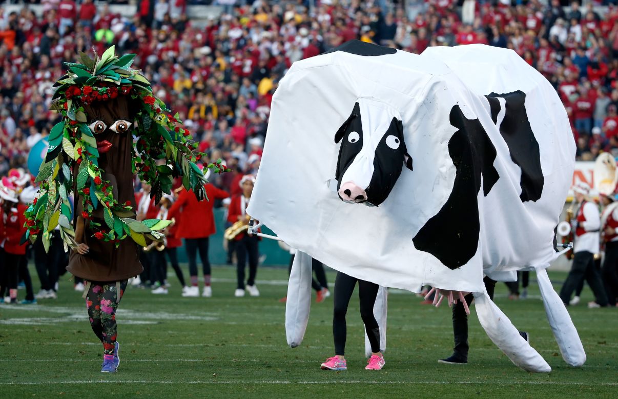 Colorful characters perform with the Stanford band during the Rose Bowl halftime show on Friday, January 1.