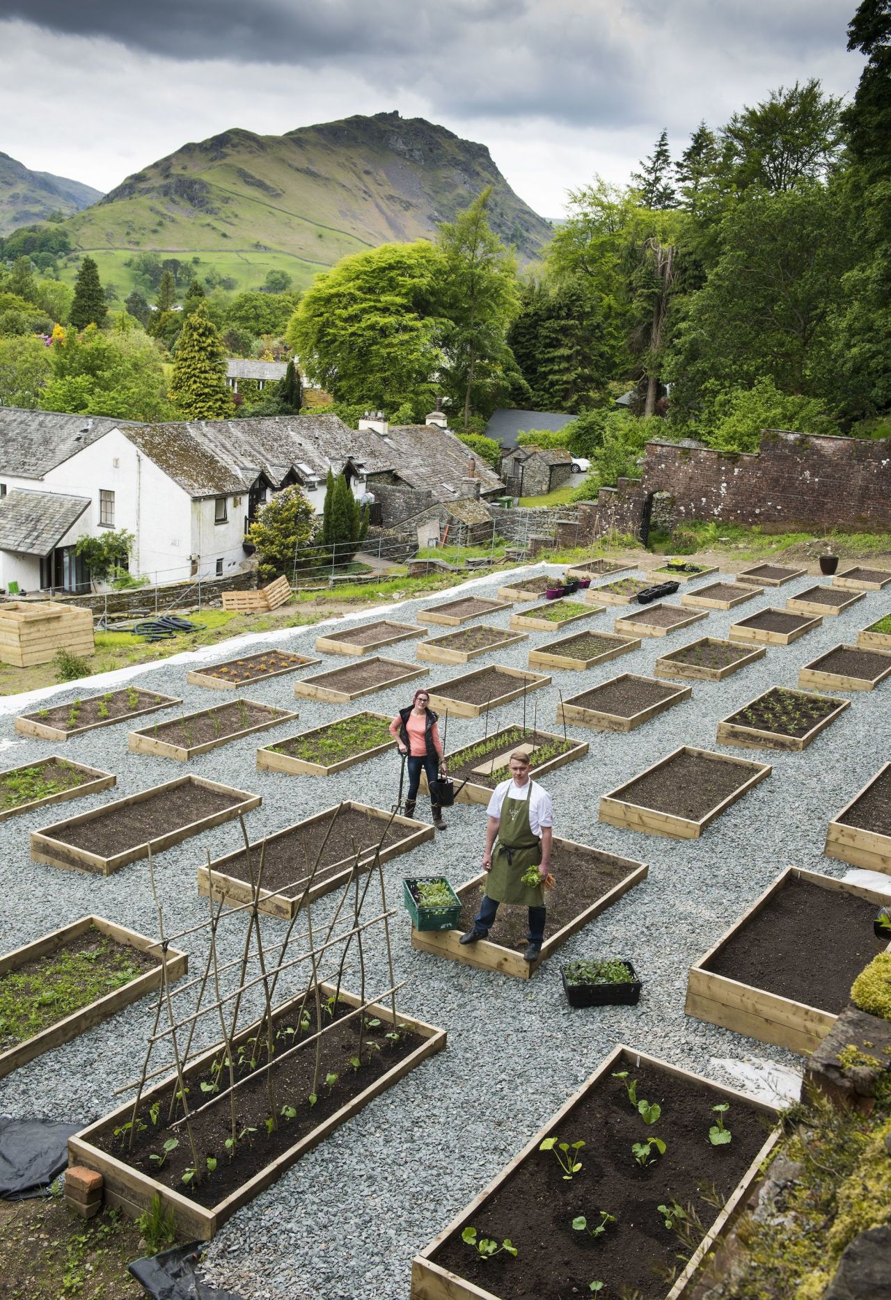 Head chef Kevin Tickle and head gardener Catherine Walsh among the Forest Side's raised beds. 
