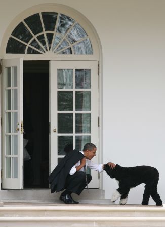 Obama pets Bo outside the Oval Office on March 15, 2012.