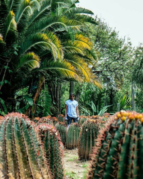 Visiting Obesa Nursey in Graaff-Reinet, South Africa, Pon snaps his friend <a href="https://www.instagram.com/zukopics/" target="_blank" target="_blank">Zuko</a> among the cacti. 