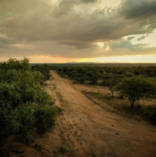 As quirky and modern as his work is, Pon isn't scared of posting a traditional sunset or two. This one was taken at Mabalingwe Game Reserve, Rooiberg, South Africa.  