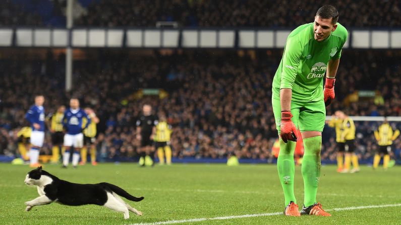 Everton goalkeeper Joel Robles tries to catch a cat that ran onto the field during an FA Cup match in Liverpool, England, on Saturday, January 9.