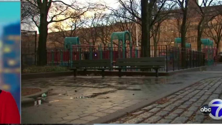 4 teens arrested in alleged gang rape of 18-year-old in Brooklyn playground