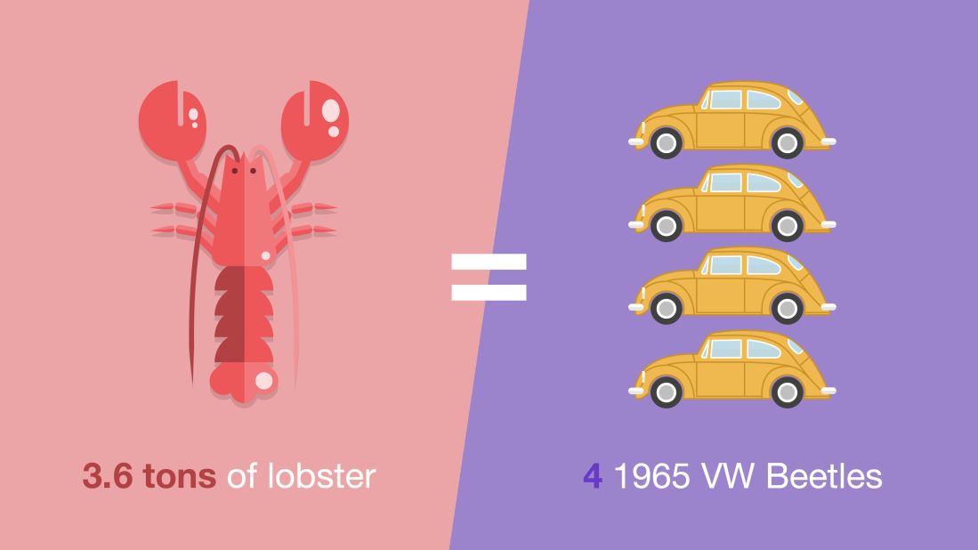 Emirates Flight Catering gets through 3.6 tons of lobster each year. Other fishy statistics include 80 tons of smoked salmon and 165 tons of salmon fillet.